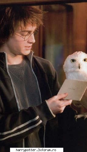 cute harry potter