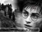 all about daniel harry potter:p=d harry potter