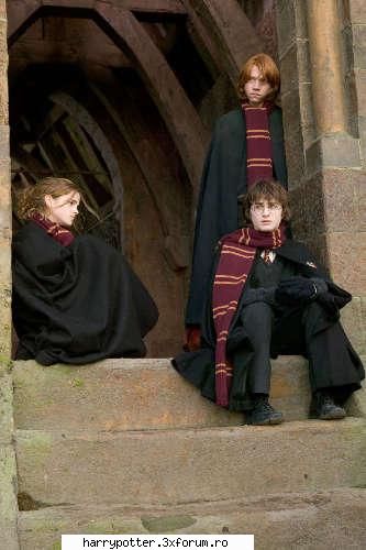 harry potter si pocalul de pictures from hp movies:d